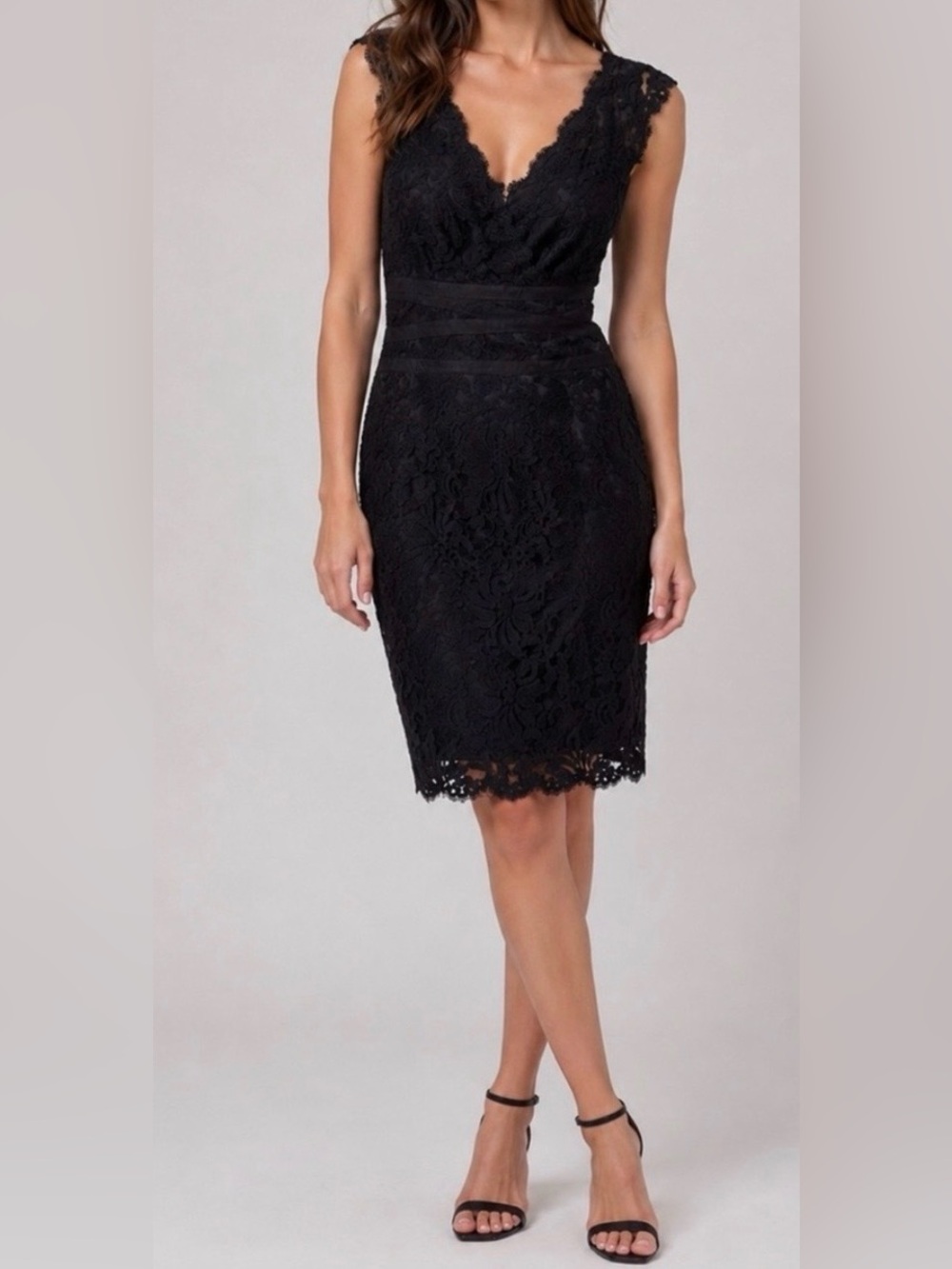 Tadashi Shoji Embroidered Lace Sheath Dress